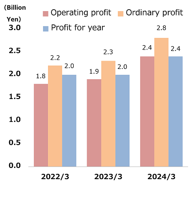 Operating profit, ordinary profit and profit for year