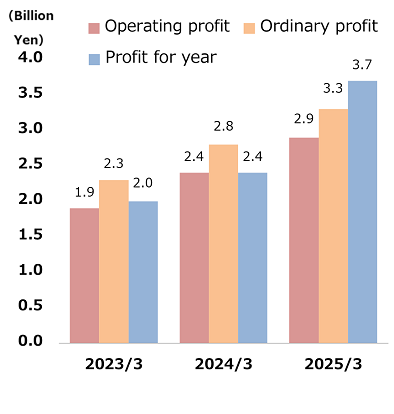 Operating profit, ordinary profit and profit for year